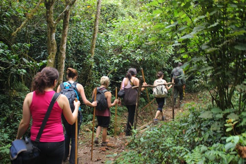 Nyungwe-Forest-canopy-Walk